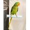 Show in main carousel: Polly's Pet Products Pastel Bird Perch, Blue, Medium slide 6 of 9