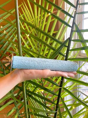 Show full view: Polly's Pet Products Pastel Bird Perch, Blue, Medium slide 3 of 9