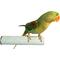Show in main carousel: Polly's Pet Products Pastel Bird Perch, Blue, X-Large slide 2 of 10