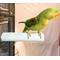 Show in main carousel: Polly's Pet Products Pastel Bird Perch, Blue, X-Large slide 6 of 10