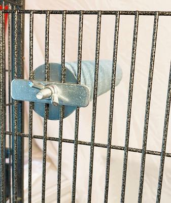 Show full view: Polly's Pet Products Pastel Bird Perch, Blue, X-Large slide 5 of 10