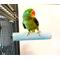 Show in main carousel: Polly's Pet Products Pastel Bird Perch, Blue, X-Large slide 7 of 10
