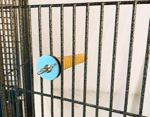 Show full view: Polly's Pet Products Pastel Bird Perch, Brown, Baby Medium slide 7 of 11