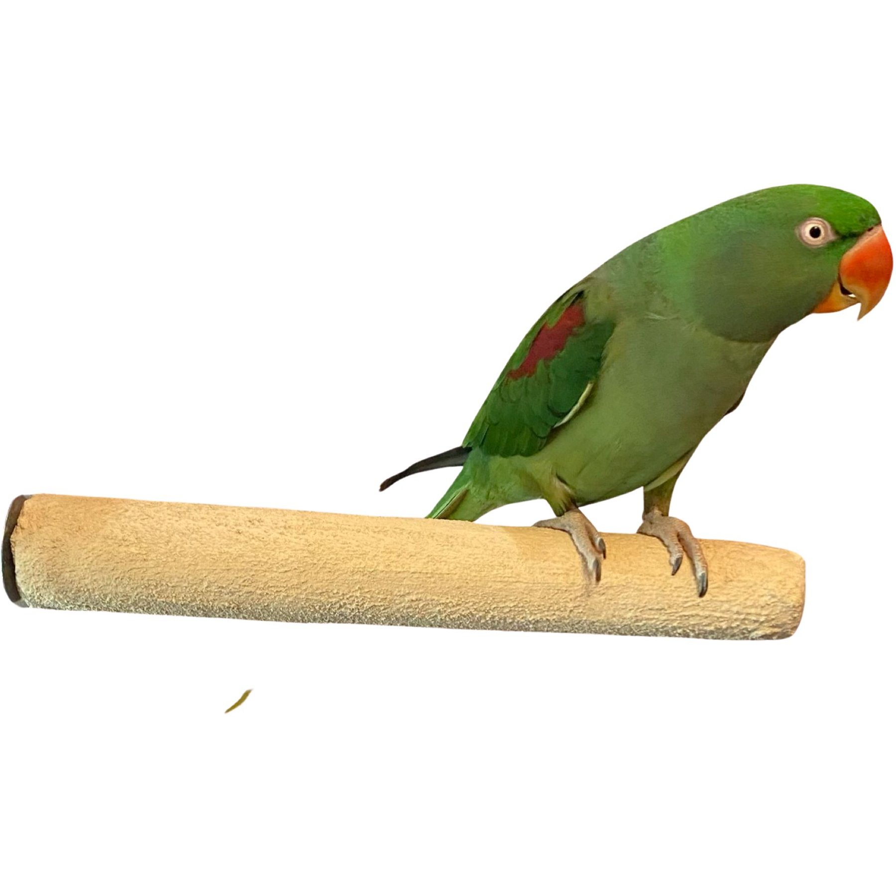 Polly's Pet Products Pastel Bird Perch, Brown, Large Long