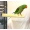 Show in main carousel: Polly's Pet Products Pastel Bird Perch, Brown, Large Long slide 8 of 11