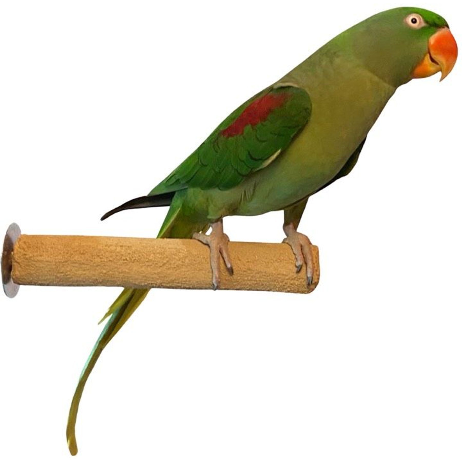Polly's Pet Products Pastel Bird Perch, Brown, Medium
