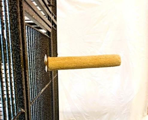 Show full view: Polly's Pet Products Pastel Bird Perch, Brown, Small slide 6 of 9