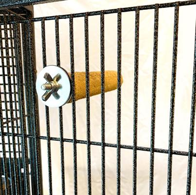 Show full view: Polly's Pet Products Pastel Bird Perch, Brown, Small slide 5 of 9