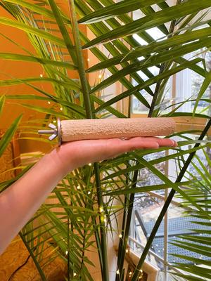 Show full view: Polly's Pet Products Pastel Bird Perch, Brown, Small slide 4 of 9