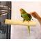 Show in main carousel: Polly's Pet Products Pastel Bird Perch, Brown, X-Large Long slide 7 of 10