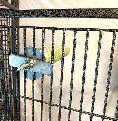 Show full view: Polly's Pet Products Pastel Bird Perch, Green, Large slide 6 of 10