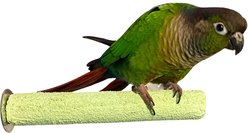 Polly's Pet Products Pastel Bird Perch, Green, Small