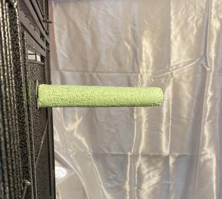 Show full view: Polly's Pet Products Pastel Bird Perch, Green, Small slide 8 of 11