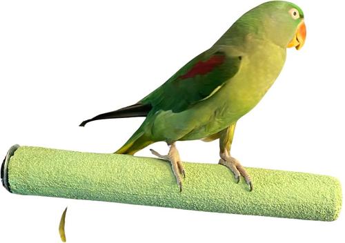 Show full view: Polly's Pet Products Pastel Bird Perch, Green, X-Large Long slide 1 of 11