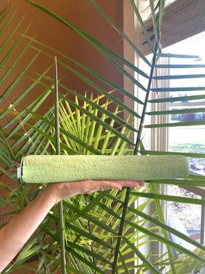 Show full view: Polly's Pet Products Pastel Bird Perch, Green, X-Large Long slide 4 of 11