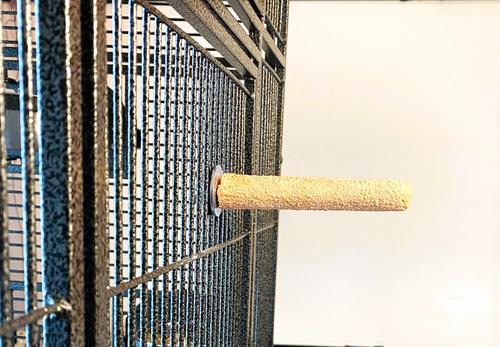 Show full view: Polly's Pet Products Pastel Bird Perch, Orange, Baby Medium slide 5 of 11