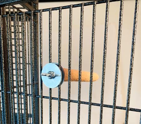 Show full view: Polly's Pet Products Pastel Bird Perch, Orange, Baby Medium slide 6 of 11