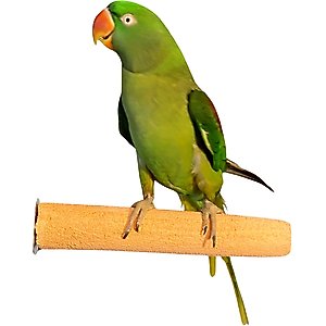 Polly's Pet Products Pastel Bird Perch, Orange, Large