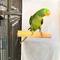 Show in main carousel: Polly's Pet Products Pastel Bird Perch, Orange, Large slide 3 of 11