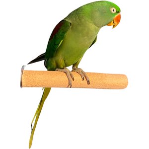 Polly's Pet Products Pastel Bird Perch, Orange, Medium