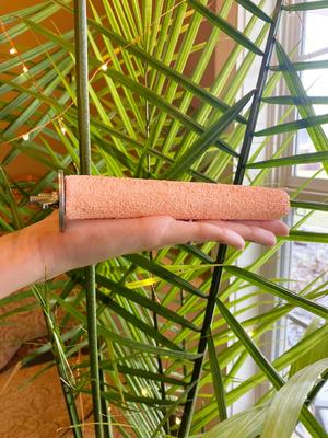 Show full view: Polly's Pet Products Pastel Bird Perch, Orange, Medium slide 4 of 11