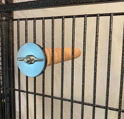 Show full view: Polly's Pet Products Pastel Bird Perch, Orange, Medium slide 7 of 11