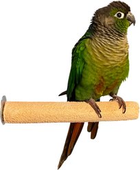 Polly's Pet Products Pastel Bird Perch, Orange, Small