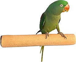 Polly's Pet Products Pastel Bird Perch, Orange, X-Large Long