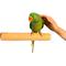Show in main carousel: Polly's Pet Products Pastel Bird Perch, Orange, X-Large Long slide 6 of 11