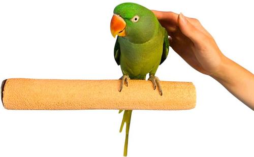 Show full view: Polly's Pet Products Pastel Bird Perch, Orange, X-Large Long slide 6 of 11