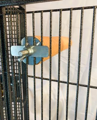 Show full view: Polly's Pet Products Pastel Bird Perch, Orange, X-Large Long slide 7 of 11