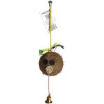 Polly's Pet Products Piggy Bank Bird Perch