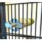 Show in main carousel: Polly's Pet Products Sand-E-Rope Bird Perch, Green, Large slide 5 of 5
