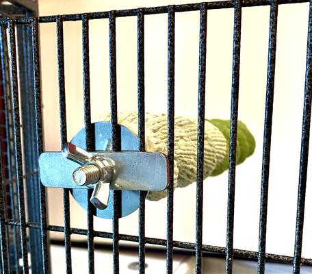 Show full view: Polly's Pet Products Sand-E-Rope Bird Perch, Green, Large slide 5 of 5