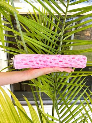 Show full view: Polly's Pet Products Watermelon Flavor Tooty Fruity Bee Pollen Bird Perch, Pink, Medium slide 3 of 8