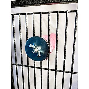Polly's Pet Products Watermelon Flavor Tooty Fruity Bee Pollen Bird Perch, Pink, Medium