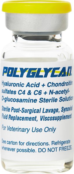 Out of Stock - POLYGLYCAN for Horses 10mL - Easy Refills | Chewy Rx