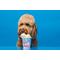 Show in main carousel: Pooch Creamery Birthday Cake Flavor Ice Cream Mix Dog Treat, 5.25-oz cup slide 3 of 9