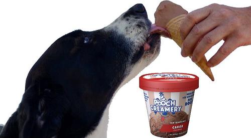 Show full view: Pooch Creamery Carob Flavor Ice Cream Mix Dog Treat, 5.25-oz cup slide 5 of 7