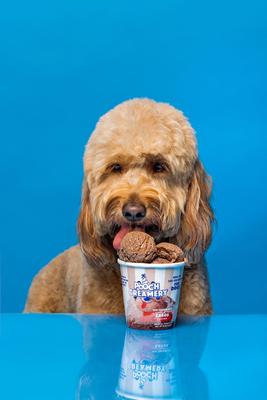 Show full view: Pooch Creamery Carob Flavor Ice Cream Mix Dog Treat, 5.25-oz cup slide 3 of 7