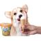 Show in main carousel: Pooch Creamery Peanut Butter Flavor Ice Cream Mix Dog Treat, 5.25-oz cup slide 7 of 10