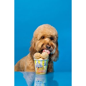 Pooch Creamery Peanut Butter Flavor Ice Cream Mix Dog Treat, 5.25-oz cup