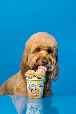 Show full view: Pooch Creamery Peanut Butter Flavor Ice Cream Mix Dog Treat, 5.25-oz cup slide 3 of 10