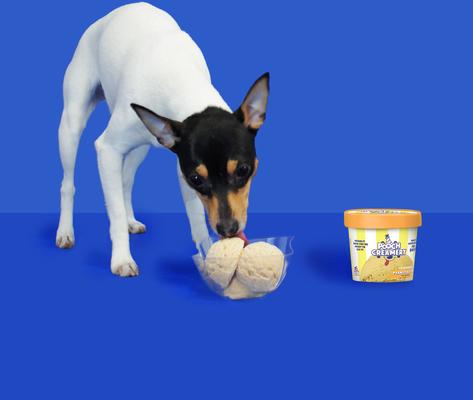 Show full view: Pooch Creamery Peanut Butter Ice Cream Mix Dog Treat, 2.32-oz cup slide 3 of 4