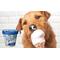 Show in main carousel: Pooch Creamery Vanilla Flavor Ice Cream Mix Dog Treat, 5.25-oz cup slide 7 of 9
