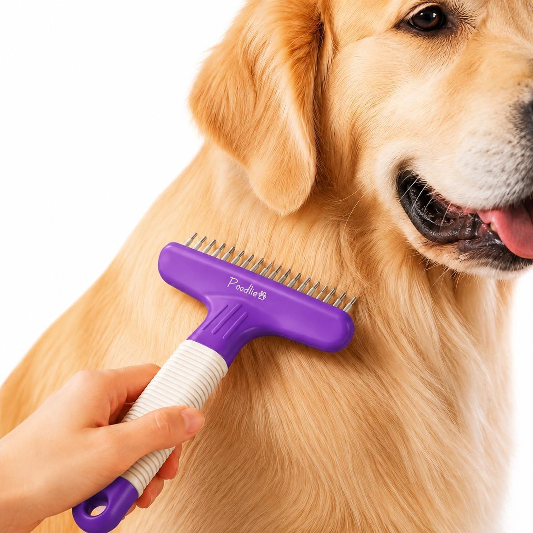 POODLIE Poodle Pet Dog Grooming Rake, Purple