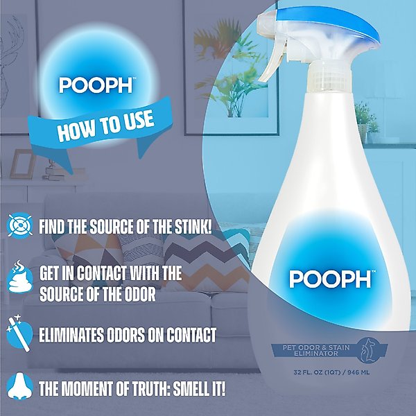 What Are The Ingredients In Pooph Odor Eliminator POOPH Cat & Dog Odor & Stain Eliminator, 32-fl oz bottle - Chewy.com