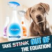 POOPH Cat & Dog Odor & Stain Eliminator, 32-fl oz bottle - Chewy.com