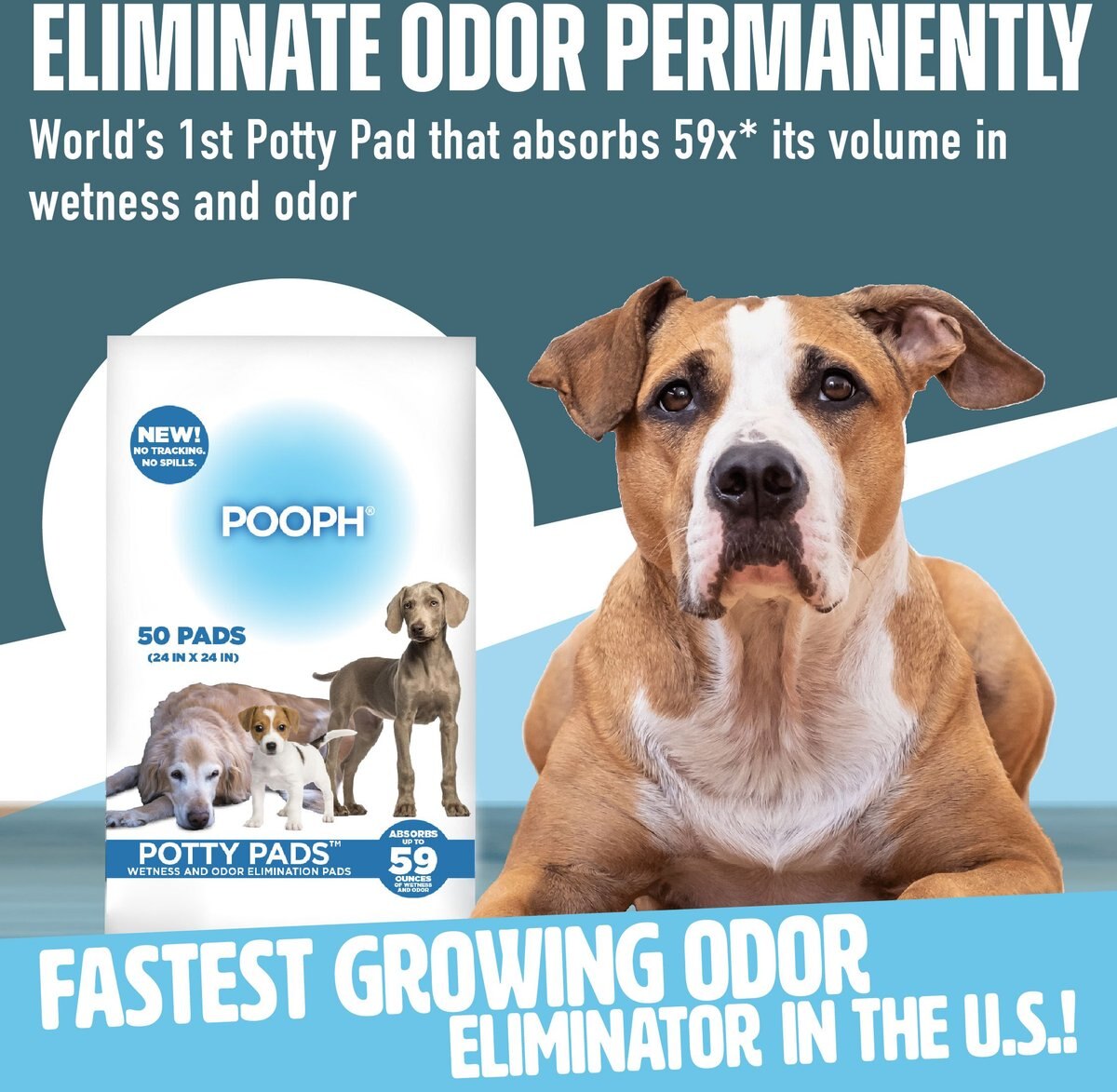 POOPH Dog Pee Pads, 24 x 24-in, 50 count, Unscented