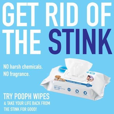 Show full view: POOPH Odor & Stain Eliminator, 32-oz bottle + Pet Wipes, 50 count slide 9 of 10
